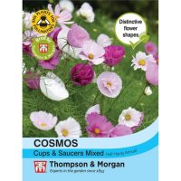 Thompson & Morgan Cosmos Cupcakes & Saucer - Mixed