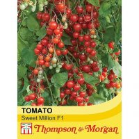 Thompson & Morgan Tomato Sweet Million F1 Hybrid