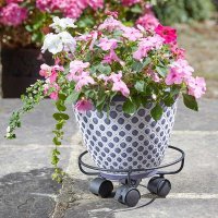 Smart Garden 25cm Elegance Pot Caddy - Black