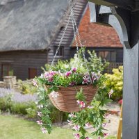 Smart Garden Artificial Hanging Basket - Star Gazing Lilies
