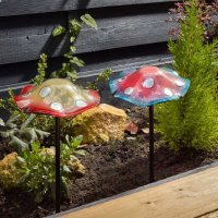 Flamboya Elvedon Ornamental Giant GlowShrooms - Assorted