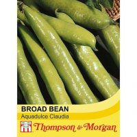 Thompson & Morgan Broad Bean Aquadulce Claudia
