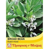 Thompson& Morgan Broad Bean Robin Hood