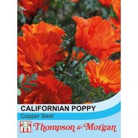 Thompson & Morgan Californian Poppy Copper Swirl