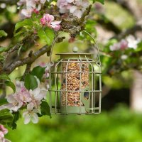 ChapelWood Compact Seed Feeder - Assorted