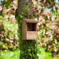 ChapelWood Classic Robin Nest Box FSC1