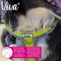 Ancol Viva Padded Dog Harness Medium- Black- 41-53cm