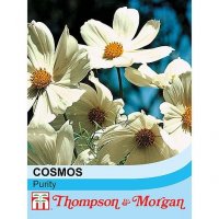 Thompson & Morgan Cosmos Purity