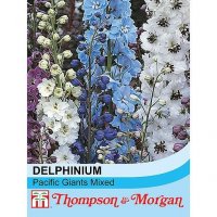 Thompson & Morgan Delphinium Pacific Giants mixed