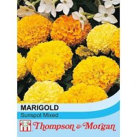 Thompson and Morgan Marigold Sunspot Mixed