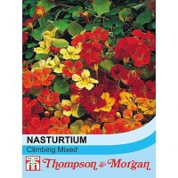 Thompson & Morgan Nasturtium Climbing Mixed