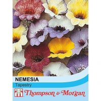 Nemesia Tapestry Mixed