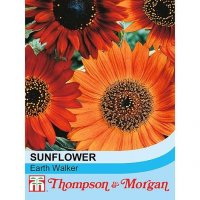 Thompson & Morgan Sunflower Earth Walker
