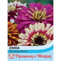 Thompson & Morgan Zinnia elegans 'Whirlygig Mixed'