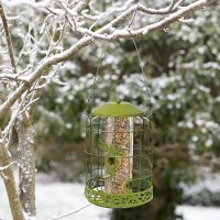 ChapelWood Decor Squirrel Proof Seed Feeder