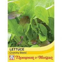 Thompson & Morgan Salad Leaves - Crispy Lettuce Blend