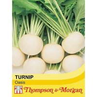 Thompson & Morgan Turnip Oasis