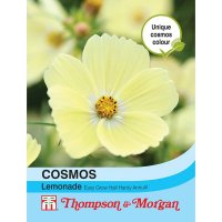 Thompson & Morgan Cosmos Lemonade