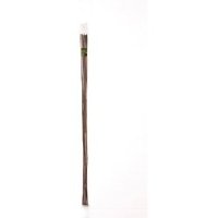 Ambassador Bamboo Canes 8 - Pack of 10