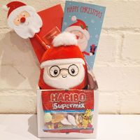 Christmas Kids Santa Plush Toy, Pen & Haribo Sweets Gift Set