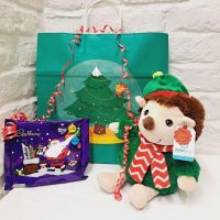 Christmas Green Hedgehog Plush Soft Toy Keel & Cadburys Selection Box Gift Set