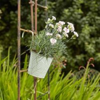 Smart Garden 6in Fence & Balcony Hanging Pot - Fern - Sage