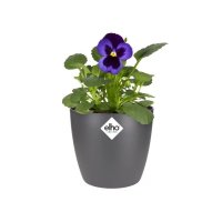 Elho Brussels Round Mini 12.5cm Anthracite Plant Pot