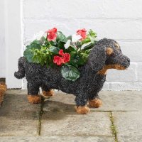 Smart Garden Sausage Dog Planter