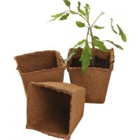 Garland 8cm Square Fibre Pots - Pack of 12