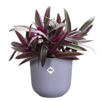 Elho Jazz Round 14cm Lavender Lilac Plant Pot