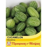 Thompson & Morgan Cucamelon 'Melothria' seed