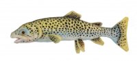 Soft Toy Fish, Cut-Throat Trout by Hansa (33cm) 6047
