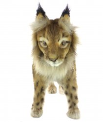 Soft Toy Eurasian Lynx Wildcat Standing by Hansa (33cm) 8070