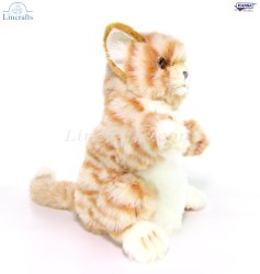 Soft Toy Hand Puppet Ginger Cat by Hansa (25cm)H 7182