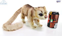 Soft Toy Kinkajou by Hansa (24cm) 6227