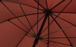 Large Windproof Golf Umbrella Stormproof Walking Brolly Event Umbrella
