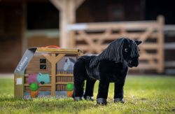 Lemieux Mini Toy Pony Skye - Black