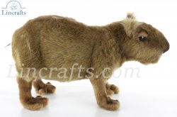 Soft Toy Capybara (Coypus) by Hansa (33cm) 5128