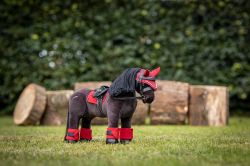 Lemieux Mini Toy Pony Accessories - Chilli Red Fly Hood