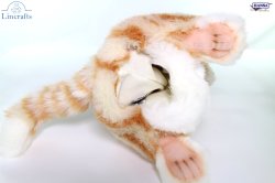 Soft Toy Hand Puppet Ginger Cat by Hansa (25cm)H 7182