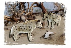 Greeting Card featuring Hansa Soft Toy Hyenas. Created by LDA. C17