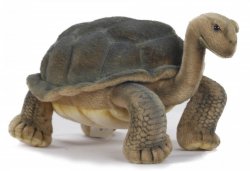 Soft Toy Galapagus Turtle (Tortoise) by Hansa (30cm) 6461