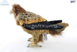 Soft Toy Bird, Wedge Tailed Eagle by Hansa (30cm) 8457