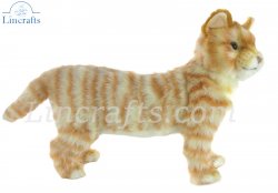 Soft Toy Ginger Tabby Cat by Hansa (25cm.H) 7178