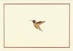 Hummingbird Flight Note Cards