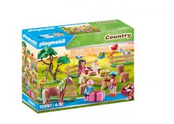 Horse Pony Farm Birthday Party Playset & Accessories - 70997 - Playmobil