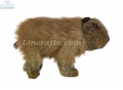 Soft Toy Capybara by Living Nature (20cm) AN733