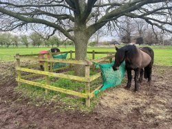 Slow Feed Envelope Hay Net