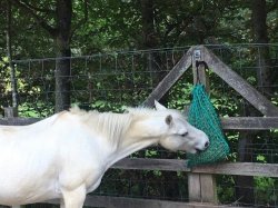 Pony Pocket Slow Feed Hay Nets