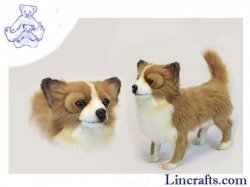 Soft Toy  Dog, Chihuahua Brown and White by Hansa (32cm) 6503